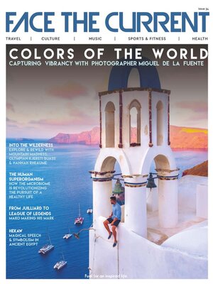 cover image of Face the Current
